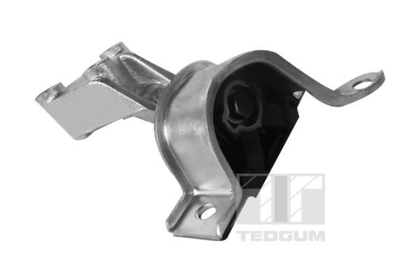 TEDGUM 00219179 Mounting, engine