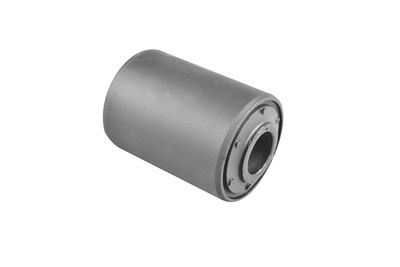 Mounting, leaf spring TEDGUM 00220336