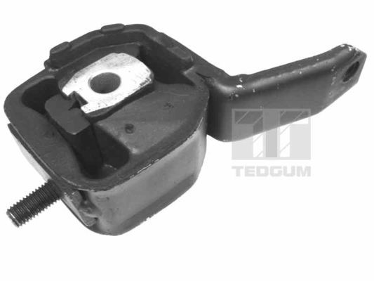 TEDGUM 00221098 Mounting, engine