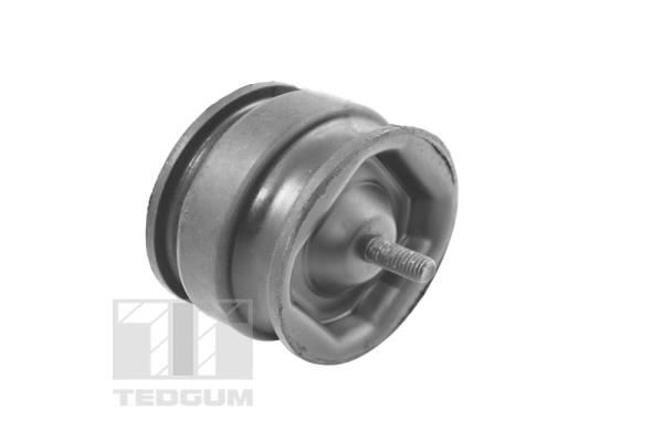TEDGUM 00221175 Mounting, engine
