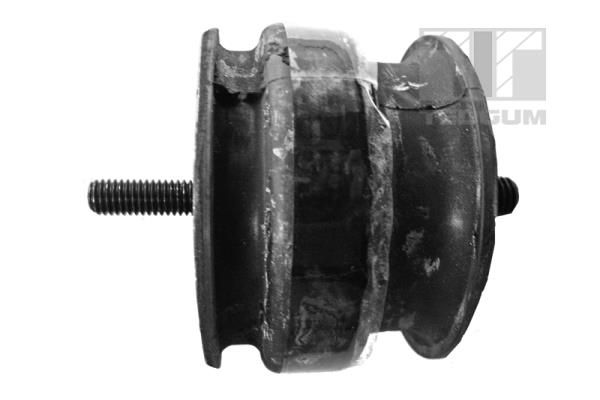 TEDGUM 00221177 Mounting, engine