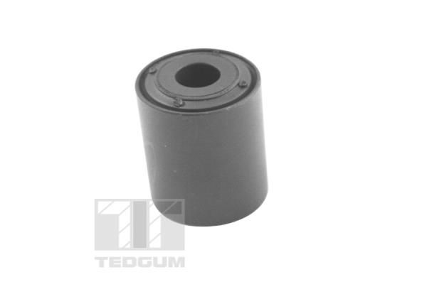 TEDGUM 00221184 Mounting, leaf spring