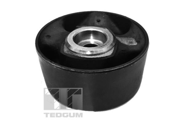 TEDGUM 00221188 Mounting, engine