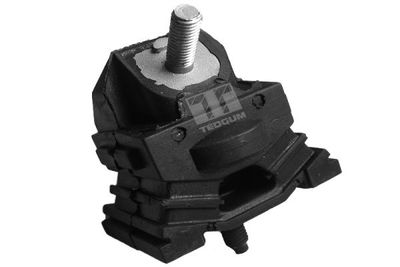 Mounting, engine TEDGUM 00221761