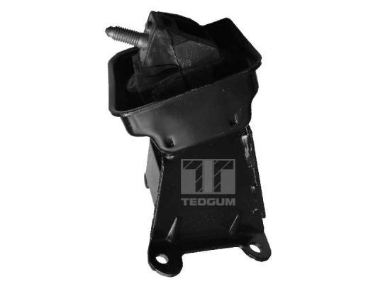 TEDGUM 00223065 Mounting, engine