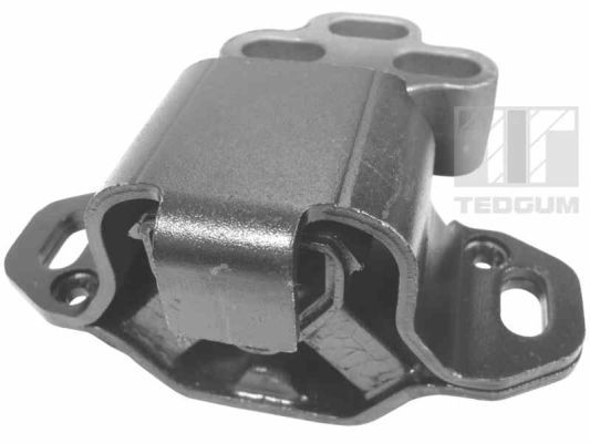 TEDGUM 00224363 Mounting, engine