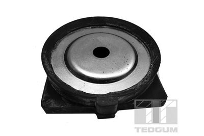 Suspension Strut Support Mount TEDGUM 00227158