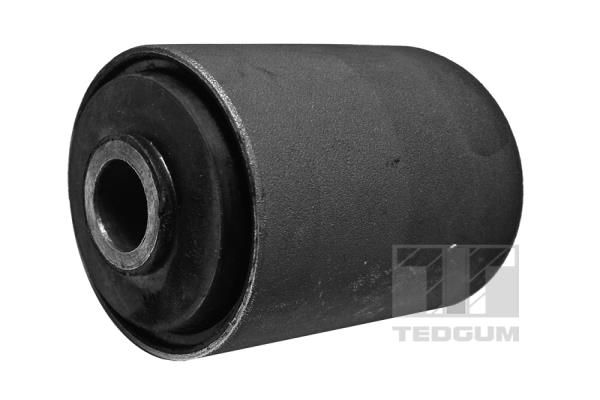 TEDGUM 00228079 Mounting, leaf spring