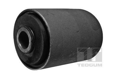 Mounting, leaf spring TEDGUM 00228079
