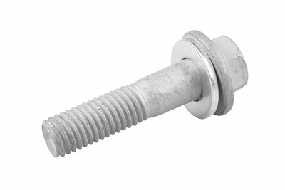Screw TEDGUM 00228296