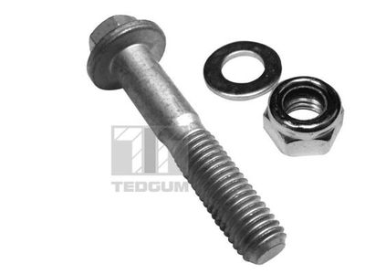 Screw TEDGUM 00228297