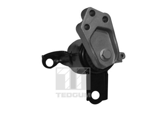 TEDGUM 00228507 Mounting, engine