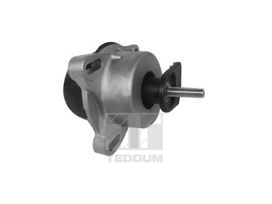 TEDGUM 00228943 Mounting, engine
