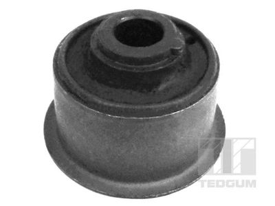 Mounting, control/trailing arm TEDGUM 00236896