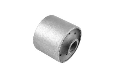 Mounting, control/trailing arm TEDGUM 00243254