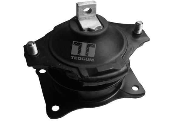 TEDGUM 00260933 Mounting, engine