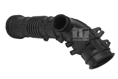 Intake Hose, air filter TEDGUM 00262155