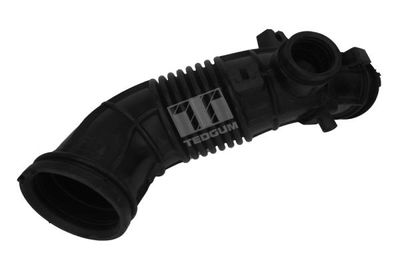 Intake Hose, air filter TEDGUM 00262160