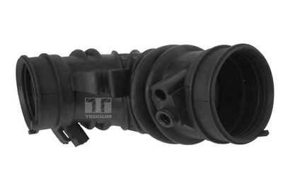 Intake Hose, air filter TEDGUM 00262163