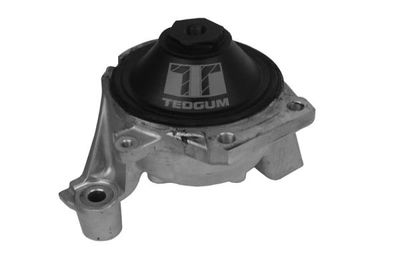 Mounting, engine TEDGUM 00262647