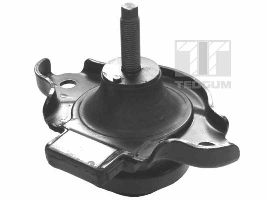 TEDGUM 00264810 Mounting, engine