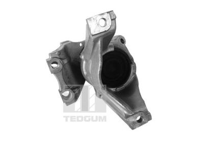 Mounting, engine TEDGUM 00269182