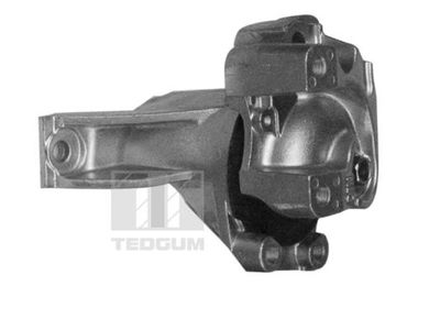 Mounting, engine TEDGUM 00269468