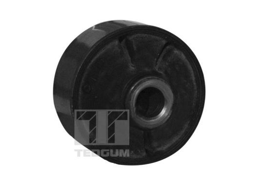 TEDGUM 00289727 Mounting, control/trailing arm