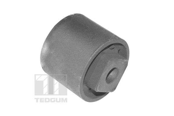 TEDGUM 00313739 Mounting, control/trailing arm