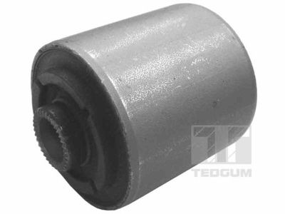 Mounting, control/trailing arm TEDGUM 00344895