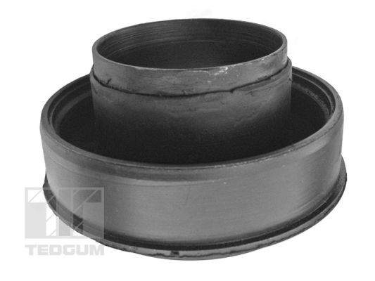 TEDGUM 00347475 Suspension, propshaft