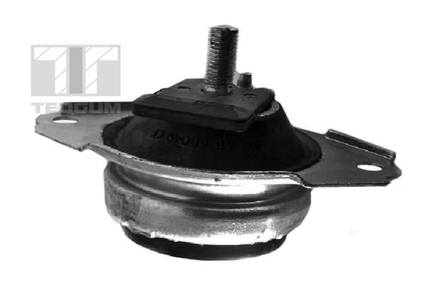 TEDGUM 00371407 Mounting, engine
