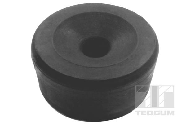 TEDGUM 00376204 Mounting, vehicle frame