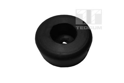 Mounting, control/trailing arm TEDGUM 00391195