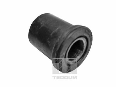 Mounting, leaf spring TEDGUM 00391569