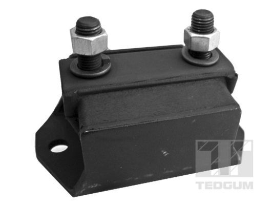 TEDGUM 00391581 Mounting, engine