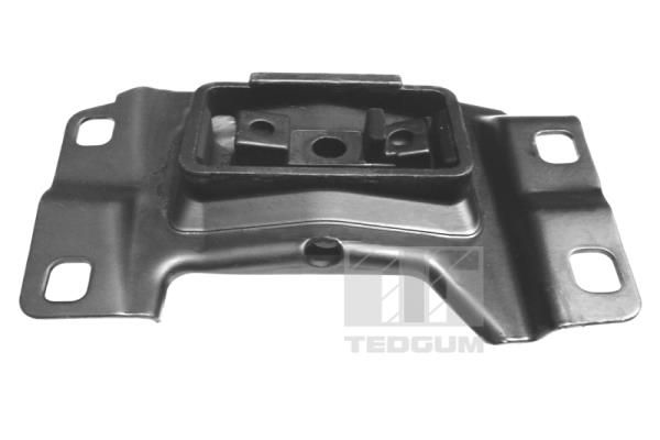 TEDGUM 00391641 Mounting, engine