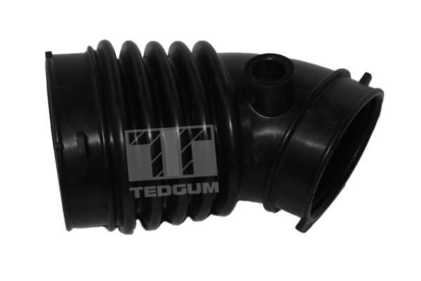 TEDGUM 00392460 Intake Hose, air filter