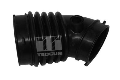 Intake Hose, air filter TEDGUM 00392460