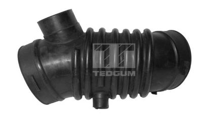 Intake Hose, air filter TEDGUM 00392520
