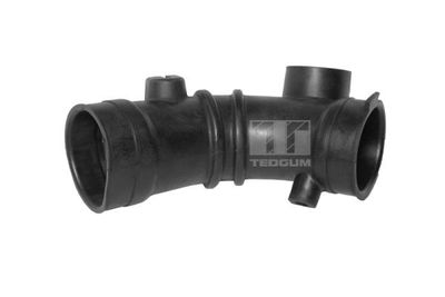 Intake Hose, air filter TEDGUM 00392527