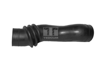 Intake Hose, air filter TEDGUM 00392528