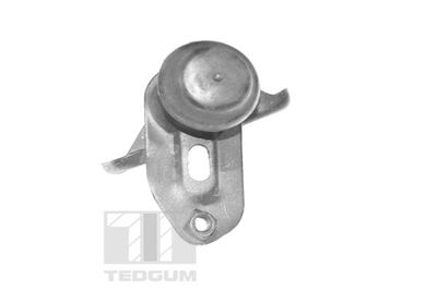 Mounting, engine TEDGUM 00392585