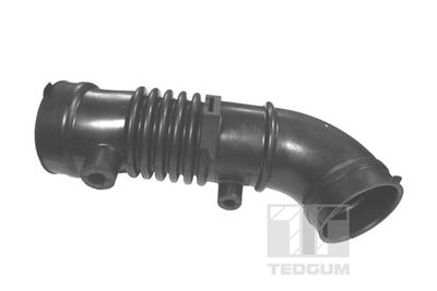 Intake Hose, air filter TEDGUM 00396364