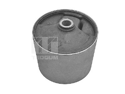 Mounting, engine TEDGUM 00396416