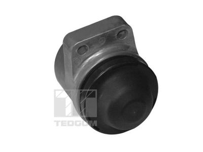 Mounting, engine TEDGUM 00399821