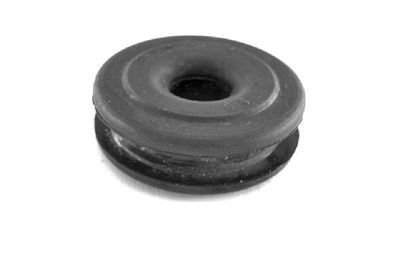 Bushing, selector/shift rod TEDGUM 00410374