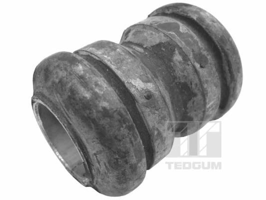 TEDGUM 00412395 Mounting, leaf spring