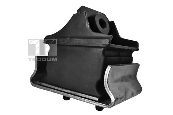 TEDGUM 00416326 Mounting, engine