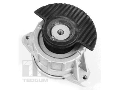 Mounting, engine TEDGUM 00418476